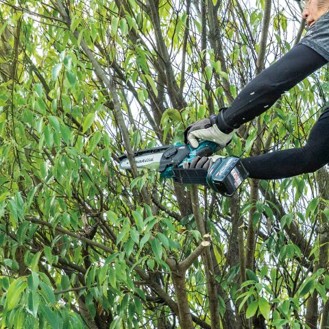 Ķēdes zāģis atzarošanai XGT® UC029GZ 40V Makita